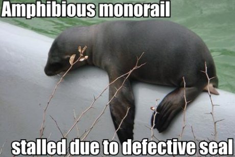 seal sitting on pipe, caption 'Amphibious monorail stalled due to defective seal'