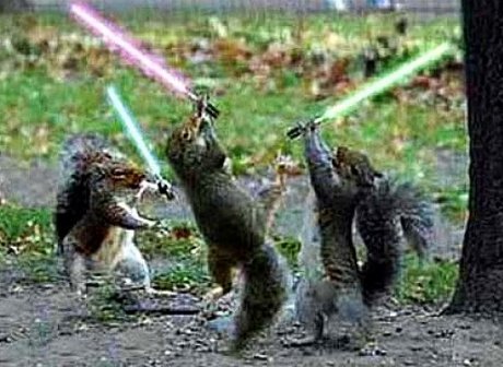 squirrels with lightsabers