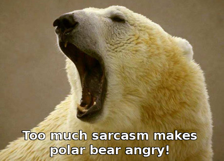 too much sarcasm makes polar bear angry!