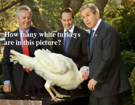 George W. Bush with turkey, caption 'How many white turkeys are in this picture?'