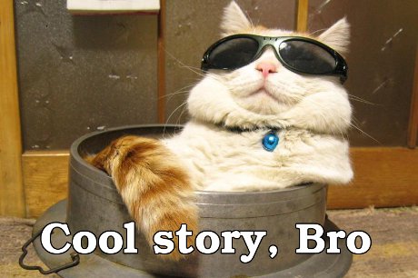 cat saying 'Cool story, Bro'