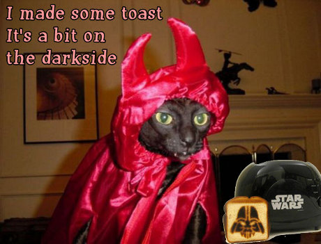 cat saying 'I made some toast, it's a bit on the darkside'