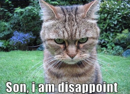 cat saying 'Son, I am disappoint'