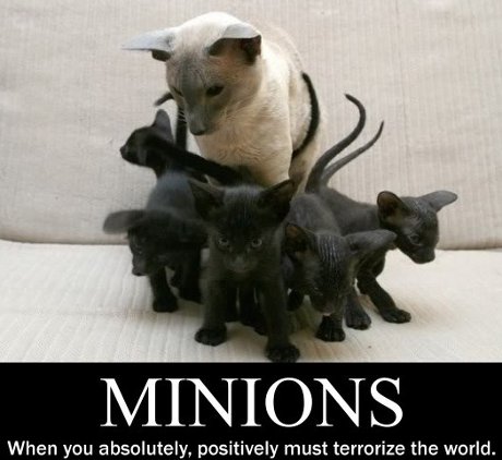 Minions: when you absolutely, positively must terrorize the world