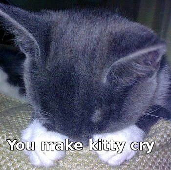 cat with paws over face saying 'You make kitty cry'