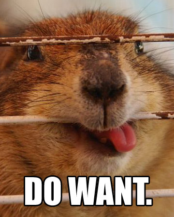 groundhog saying 'DO WANT' 