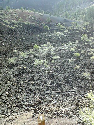 lava field at Sunset Crater in Flagstaff