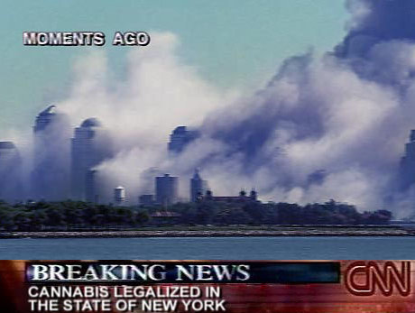 breaking news: cannabis legalized in the state of New York