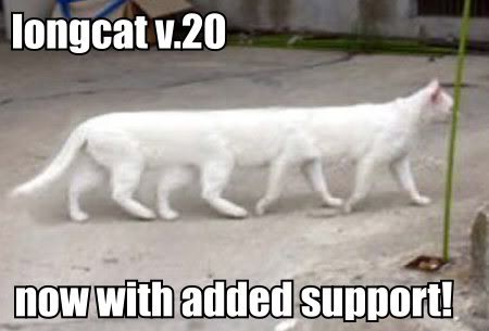 longcat 2.0, now with added support