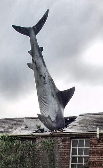 sculpture of a shark on a roof in Oxford