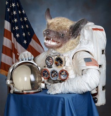 astronaut with the head of a bat