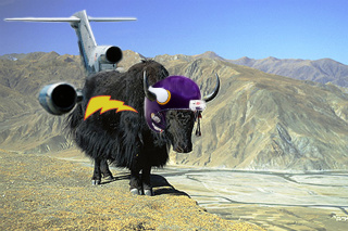 yak with football helmet and jet engines