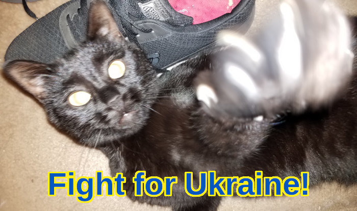 Black cat with claws out, caption 'Fight for Ukraine!'