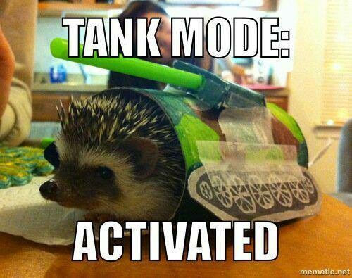 hedgehog wearing cardboard tank