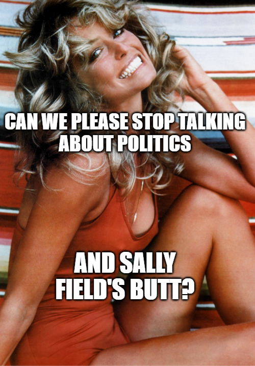 Famous Farrah Fawcett poster from the 1970s captioned 'Can we please stop talking about politics and Sally Field's butt?'