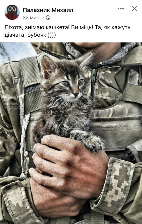 Ukrainian soldier holds rescued kitten