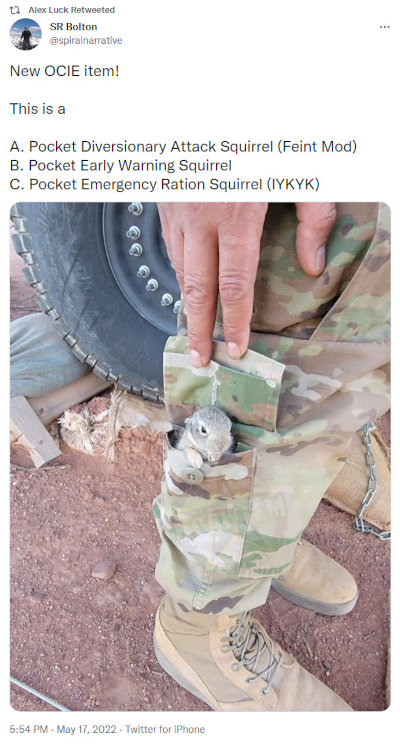 soldier with squirrel in leg pocket. Caption 'This is a A. Pocket Diversionary Attack Squirrel (Feint Mod) B. Pocket Early Warning Squirrel C. Pocket Emergency Ration Squirrel (IYKYK)'