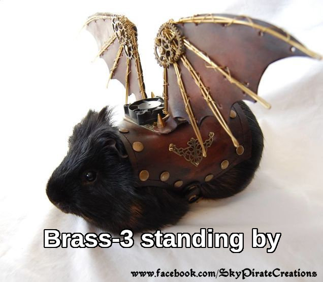 steampunk flying guinea pig captioned 'Brass 3 standing by'