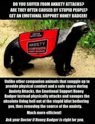Do you suffer from anxiety attacks? Are they often caused by stupid people? Get an emotional support honey badger! Unlike other companion animals that snuggle up to provide physical comfort and a safe space during anxiety attacks, the Emotional Support Honey Badger instead physically attacks and savages the absolute living hell out of the stupid idiot bothering you, thus removing the source of the anxiety. Much more efficient! Ask your doctor if Honey Badger is right for you.