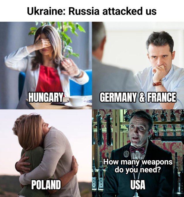 Ukraine: Russia attacked us. Hungary: facepalm. Germany and France: Hmm. Poland: Hug! USA: How many weapons do you need?