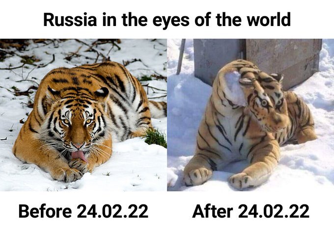 Russia in the eyes of the world:  Before 2022-02-24, fierce living tiger.  After 2022-02-25, dopey stuffed animal tiger
