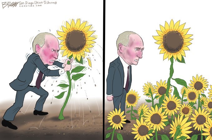 Putin is angry at sunflower and shakes it. This causes MORE sunflowers to grow