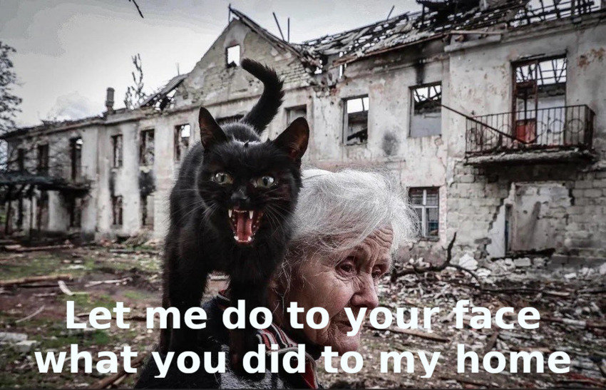 angry shoulder cat says 'Let me do to your face what you did to my home'
