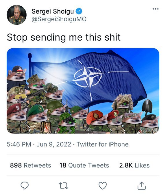 Sergei Shoigu says 'Stop sending me this shit' by a picture of dogs wearing hats and camo in front of a NATO flag