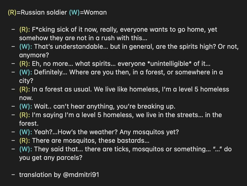 Russian soldier on a phone call complains of low morale, living like a homeless person, and mosquitoes