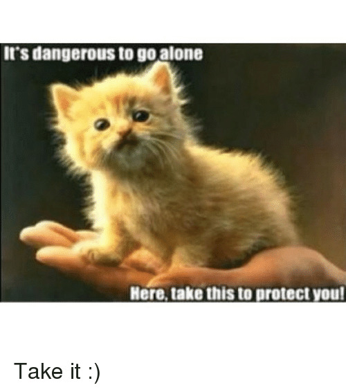 someone holding a kitten, captioned 'It's dangerous to go alone. Here, take this to protect you.'