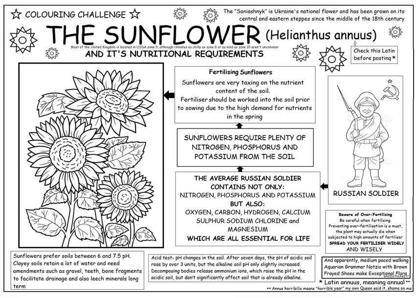 coloring book page about sunflowers and Russian soldiers