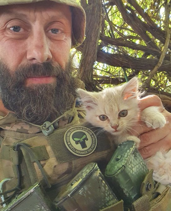 Ukrainian soldier with orange kitten