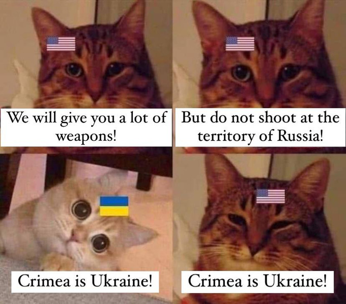 USA cat: we will give you a lot of weapons. But do not shoot at the territory of Russia! Ukraine cat: Crimea is Ukraine! USA cat: Crimea is Ukraine!