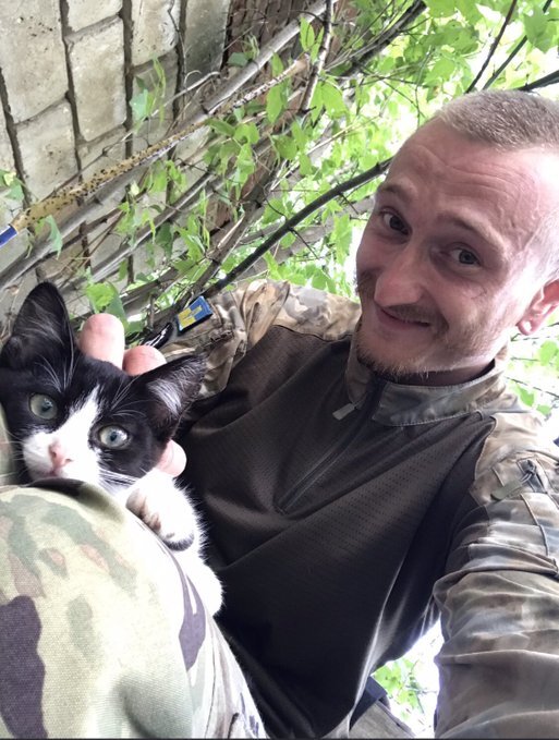 Ukraine soldier with a tuxedo kitten