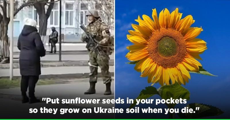 grandmother tells Russian soldier to put sunflower seeds in his pockets so they grow on Ukraine soil when you die