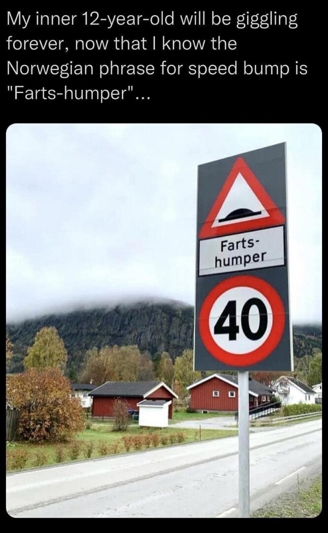 My inner 12-year-old will be giggling forever, now that I know the Norwegian phrase for speed bump is 'farts-humper'
