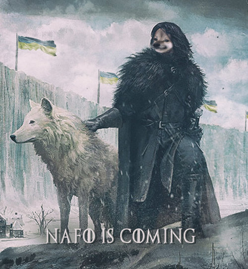 Game of Thrones fella with a wolf, captioned 'NAFO is coming'