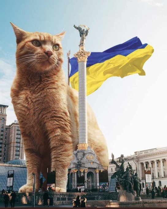 giant kitty stands by Ukraine flag and statues