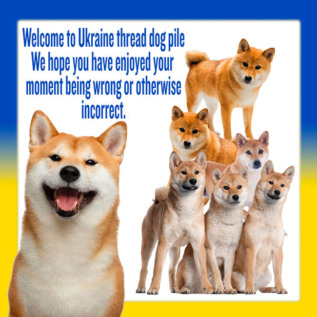 many dogs, captioned 'Welcome to Ukraine thread dog pile, we hope you have enjoyed your moment of being wrong or otherwise incorrect.'