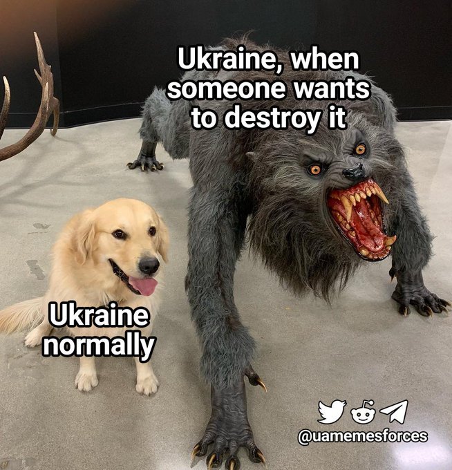 Ukraine normally: Golden Retriever. Ukraine when someone wants to destroy it: Crazed psychotic werewolf.