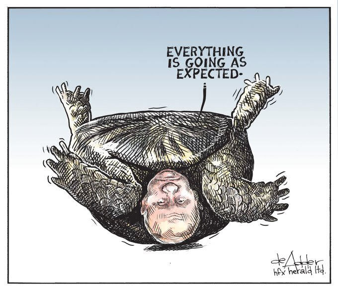 Putin as a turtle stuck upside down says, 'Everything is going as expected'