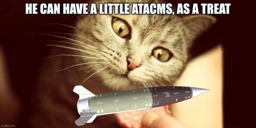 very interested cat looks at ATACMS missile, caption 'He can have a little ATACMS, as a treat'