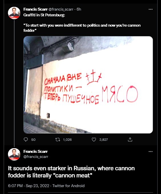 Graffiti in St. Petersburg: To start with you were indifferent to politics and now you're cannon fodder. It sounds even starker in Russian, where cannon fodder is literally 'cannon meat'