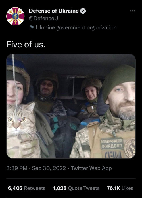 Five of us: 4 Ukrainian soldiers and one large orange cat