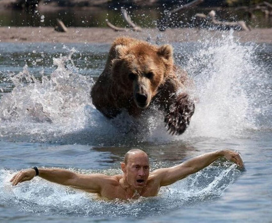 exeunt Putin, pursued by a bear