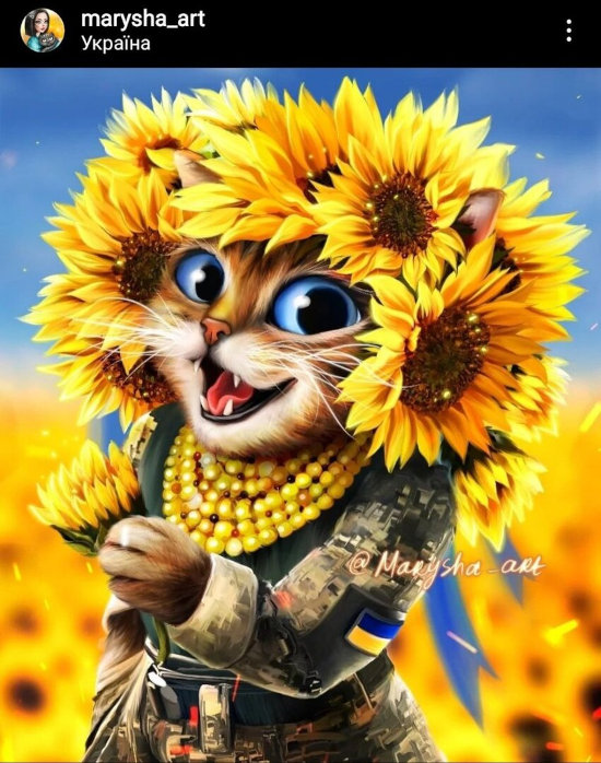 art with cat and sunflowers
