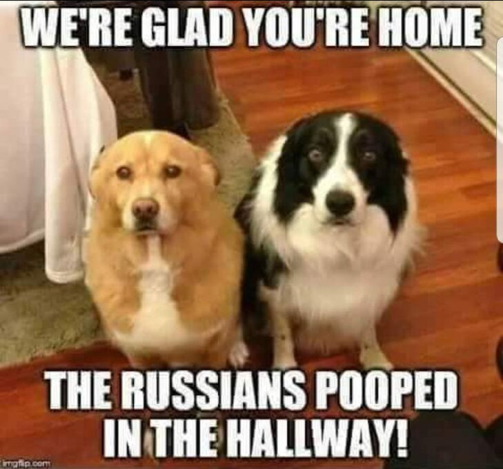 dogs, captioned 'We're glad you're home, the Russians pooped in the hallway'