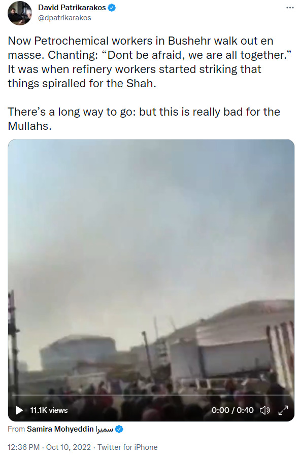 Petrochemical workers in Bushehr walk out en masse, chanting, 'Don't be afraid, we are all together.' It was when refinery workers started striking that things spiralled for the Shah. There's a long way to go, but this is really bad for the Mullahs.