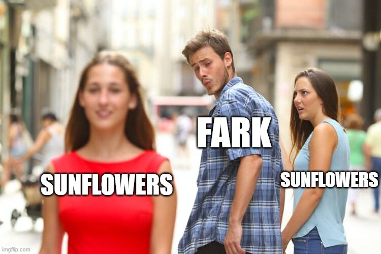 distracted boyfriend Fark looks at Van Gogh's Sunflowers instead of Ukrainian sunflowers