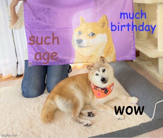 doge meme with 'much birthday, such age, wow'